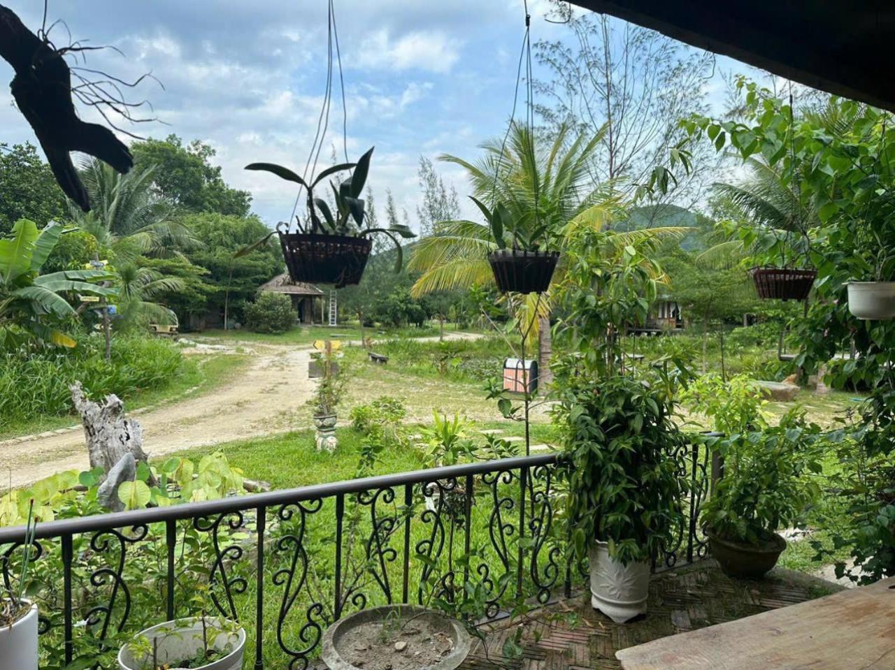 Homie Hava Homestay Lang Co Luaran gambar